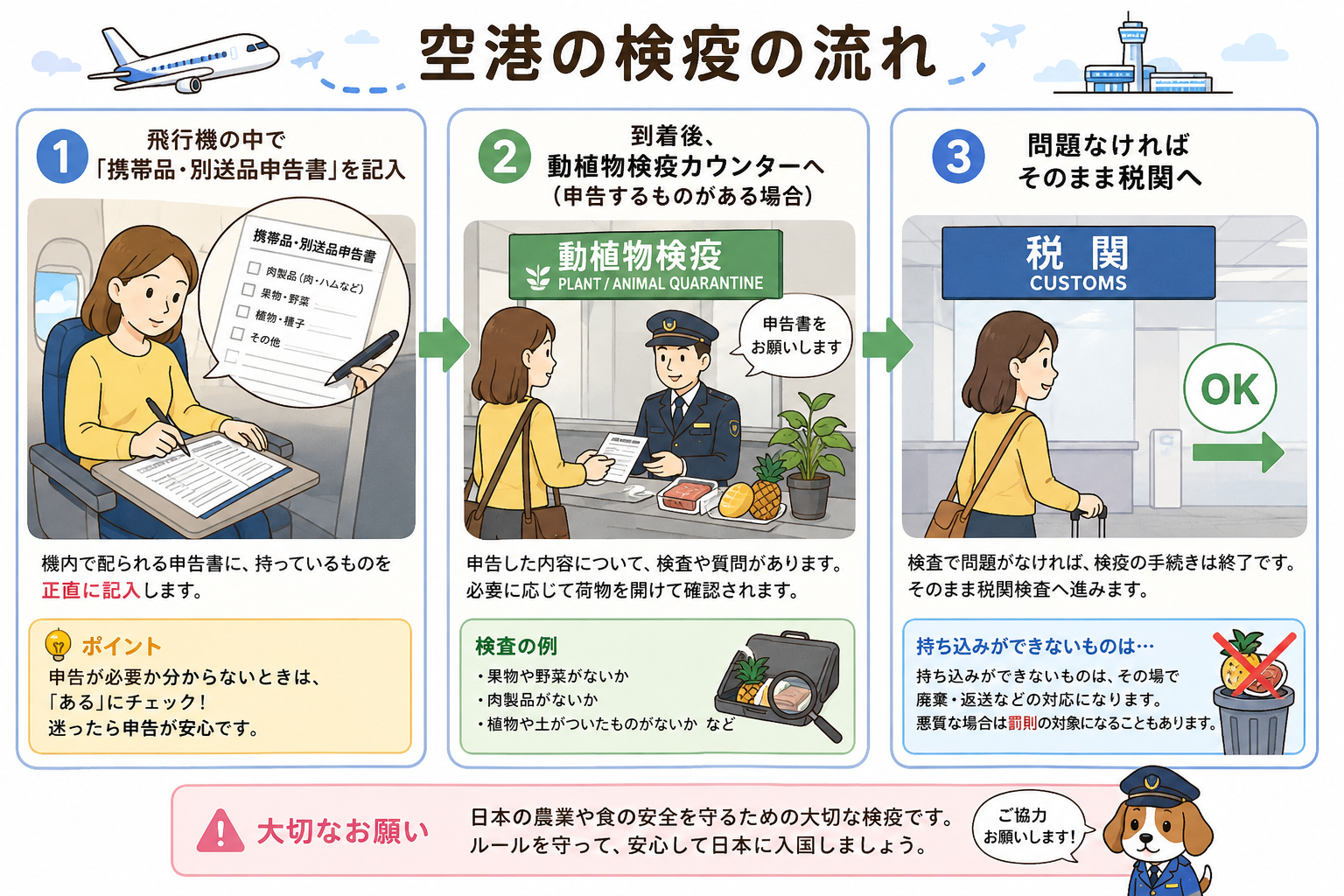 日本での検疫の流れ